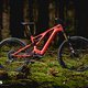 Specialized Turbo Levo mit S-Sizing und 90-Nm-Motor
