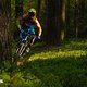 Haibike Xduro Nduro 9.0
