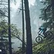 Mondraker Crafty Carbon 2019-11-11 MONDRAKER-253