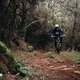 Actionfotos Specialized Levo Gen4ETS16057