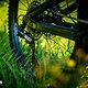 Cannondale Moterra 1
