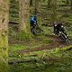 Orbea Demo (12)