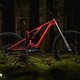 Specialized hat dem Levo Gen3 diverse Verstellmöglichkeiten spendiert