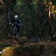 Actionfotos Specialized Levo Gen4 04A6932