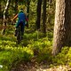 Haibike Xduro Nduro 9.0