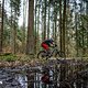 Lapierre eZesty AM Ultimate LTD 1316