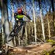 ... passt perfekt in die Gattung der E-Downhillbikes