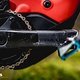 Specialized verbaut am Pro-Modell natürlich Praxis-Kurbeln aus Carbon in 160 mm Länge