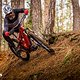 Shredden auf dem E-MTB: Es schadet nicht, dabei einen Chromhelm zu tragen!