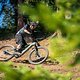 ... Downhill-Performance