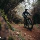 Actionfotos Specialized Levo Gen4ETS16061
