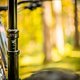 Rocky Mountain Altitude Powerplay 2022 Test DSC 0169