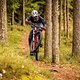Specialized Turbo Levo Pro in Action