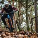 Cube Stereo Hybrid 140 HPC Actionteam 2022 im Test 1916