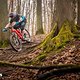 BH Bikes Atom-X Carbon DSC 4694