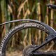 SKS Mudrocker Test DSC 8904