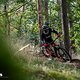 Santa Cruz Heckler--11