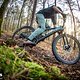 Das Trek E-Caliber ist ein Light-E-MTB, das auf moderaten Trails viel Freude bereitet
